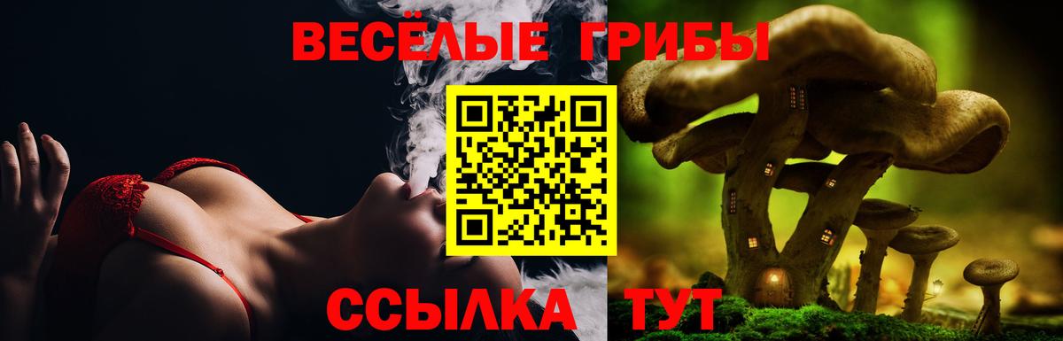Гурьевск  Псилоцибиновые грибы Psilocybe  Вход с VPN 