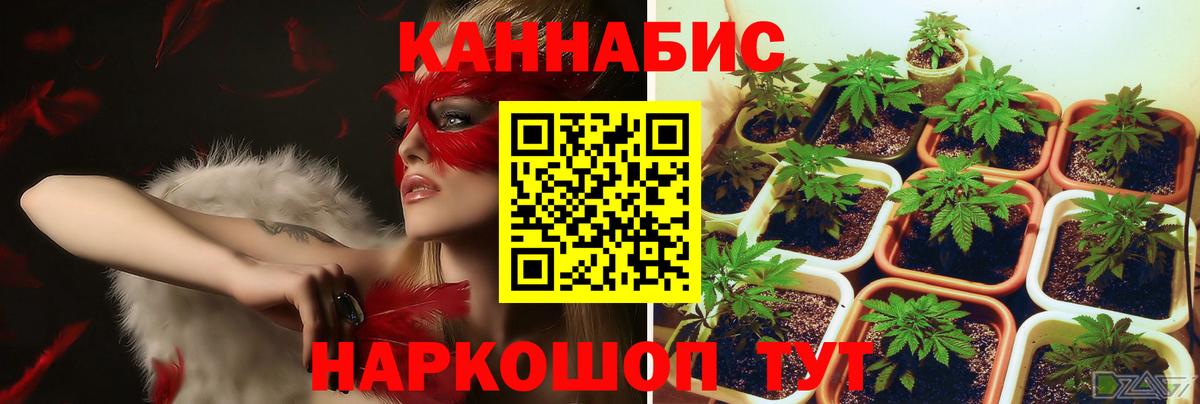 Шишки марихуана OG Kush  Вход с VPN  Бошки марихуана LSD WEED  Канабис семена  Гурьевск 